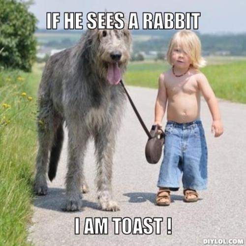 big-dog-with-little-boy-meme-generator-if-he-sees-a-rabbit-i-am-toast-3e8ddf.jpg